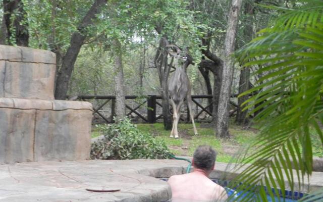 Marloth Kruger Little Manor