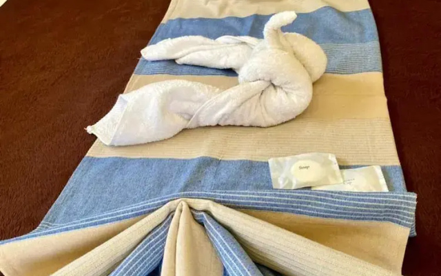 Poolside Executive Suite Near Airport - 2322