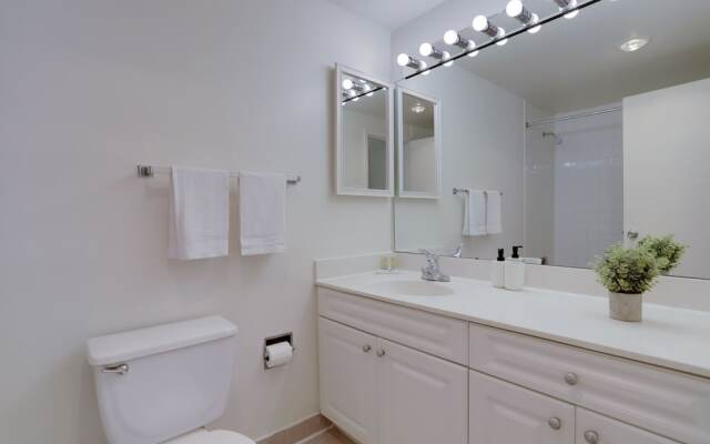 Sensational & Modern apt in Crystal City