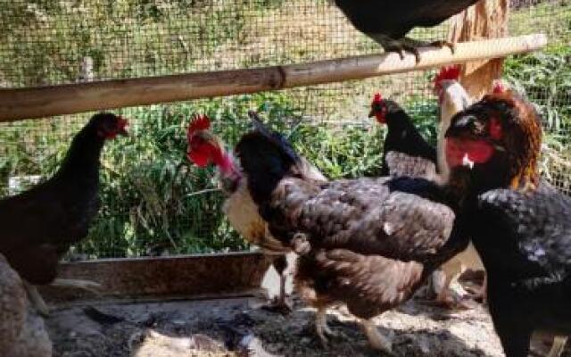 Casa de Campo Tres Soles