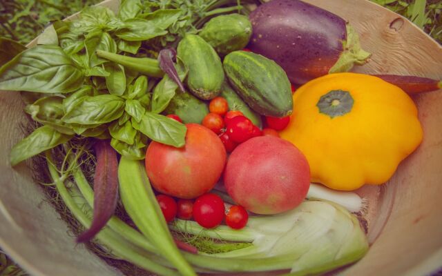 Nolichuckey Bluffs Cabins