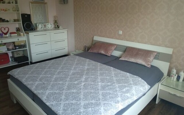 BS Business Travelling