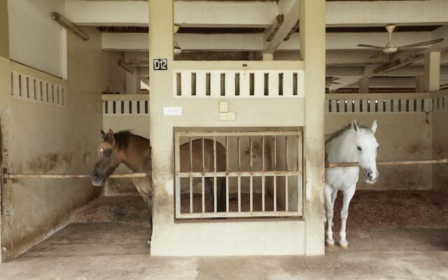 Terengganu Equestrian Resort