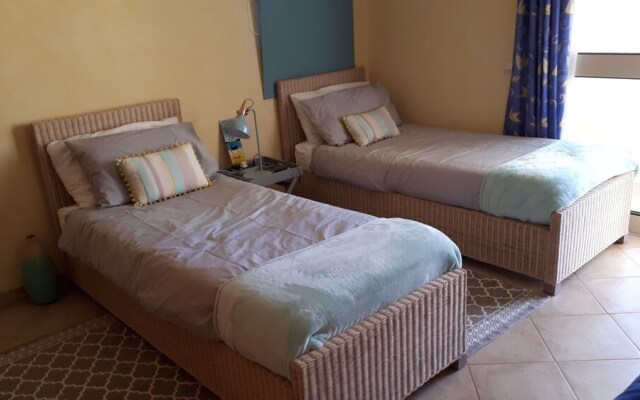 Oasis Palmeira