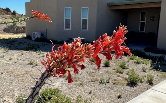 Paisano Village RV Park & Inn