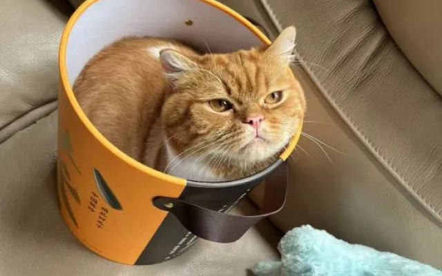 Sanya Homestay (Cangqiao Straight Street)