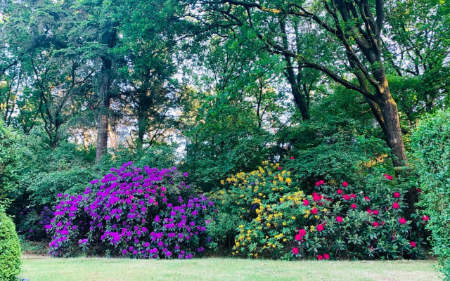 De Spitse Egel: ontdek de pareltjes in de natuur!