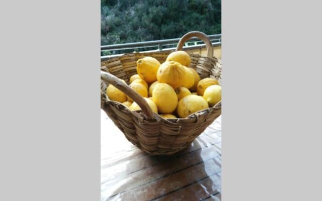 Appartamento VIA COLOMBO 99