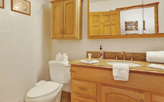 Mockingbird in Moonlight #2527