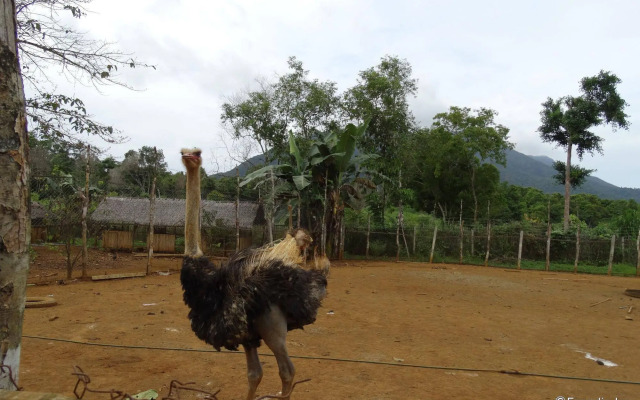 Sheridan Organic Farm and Eco Village
