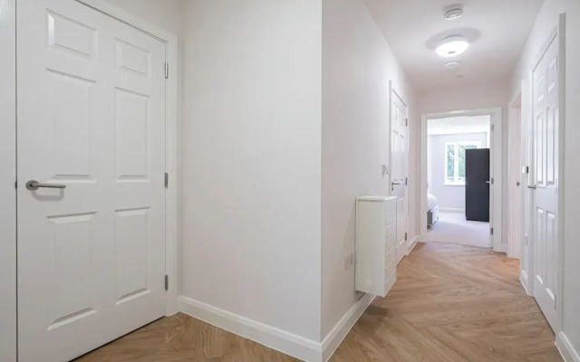 Quiet Luxe Escape 65s Only