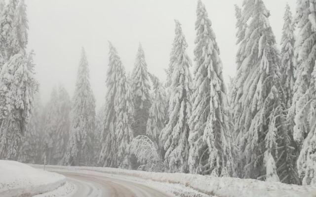 SANS Lux Apartman N42 Milmari Kopaonik