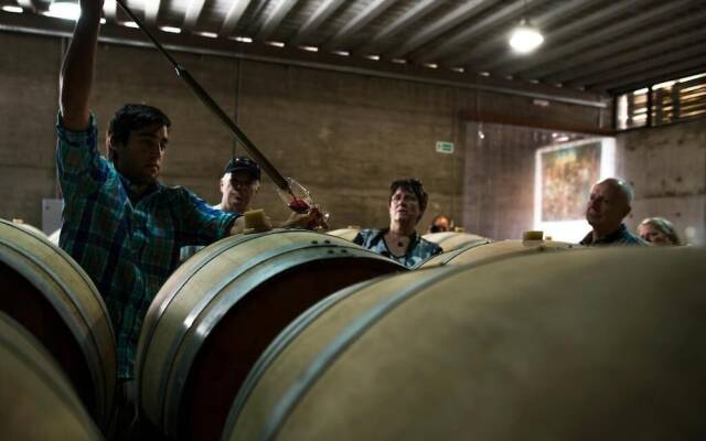 Pizzorno Lodge & Wine