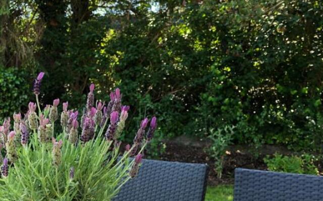 kleine Auszeit in Salzhausen