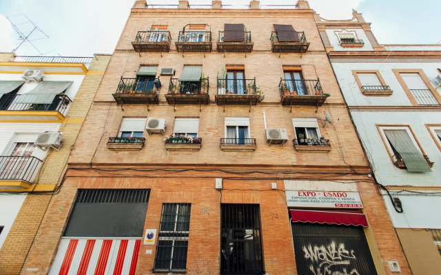 Minty Stay 3 BD - Peral