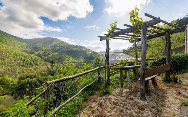 El Bosque de las Viñas