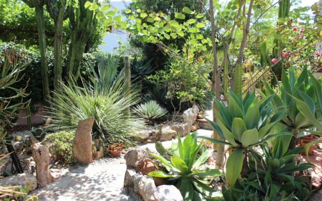 B&B Chorisia