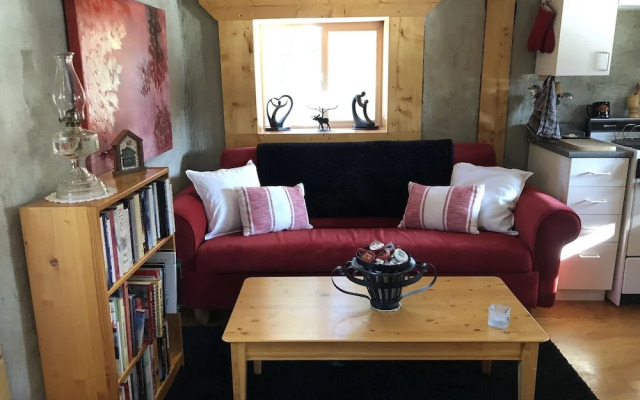 Rustic Luxury off Grid Wilderness Cabin