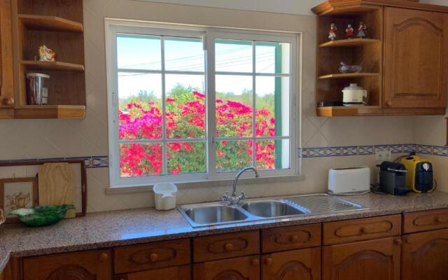 Guest House Alfarrobeiras