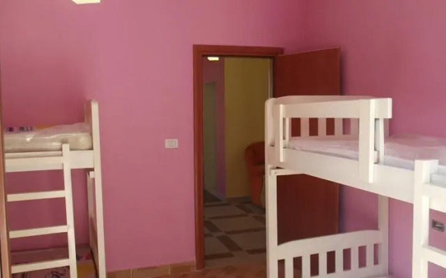 Dolphin Hostel