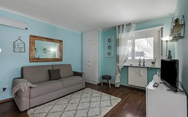 Studio Blue Petit