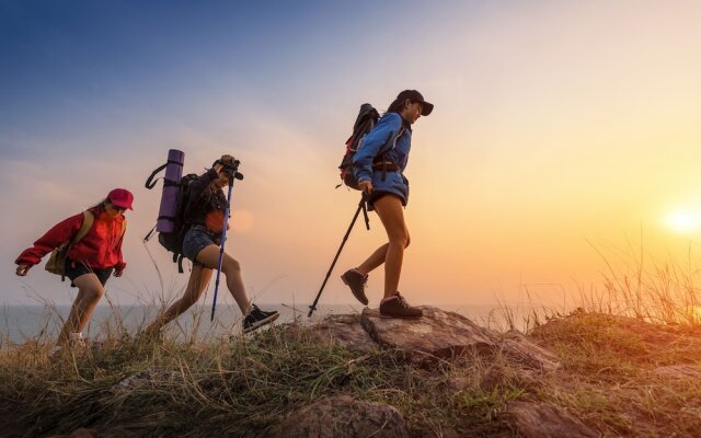 La Chioma di Berenice
