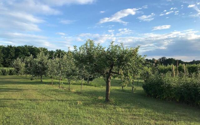 Agriturismo La Biandrina