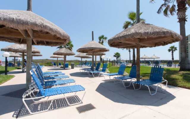 Saida Royale Condominium 9017