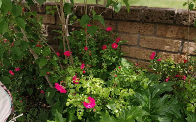 B&B Villa Milena