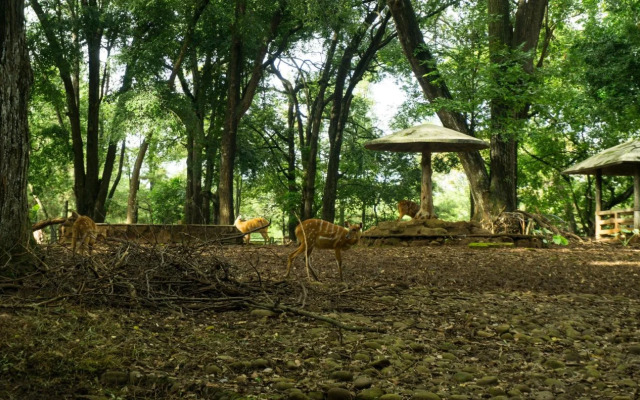 Pondok Labu Residence