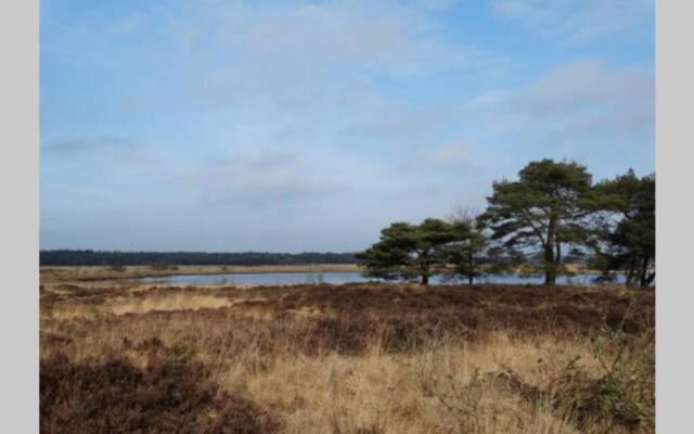 Drentse bungalow in natuur en rust