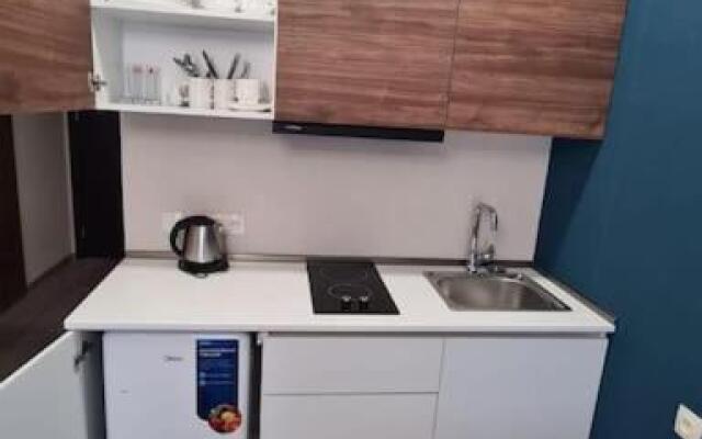 Cosy Appartment in Bakuriani