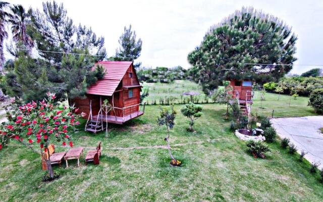 Ionian Treehouse Ecohosting Cuckoo's nest