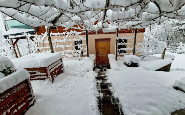 Vineyard cottage Matej