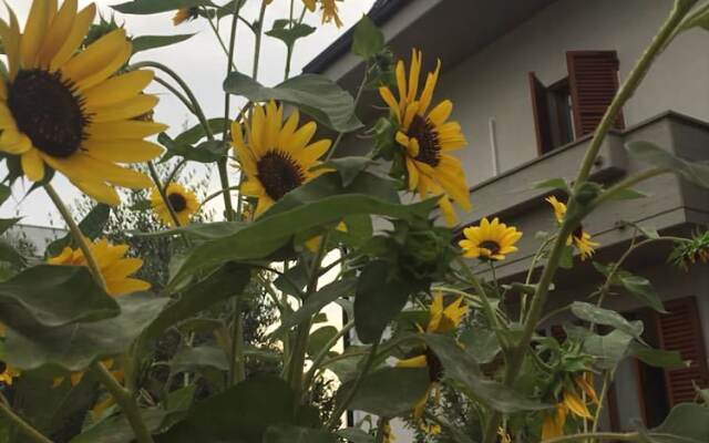 Brezza da...Mare B&b