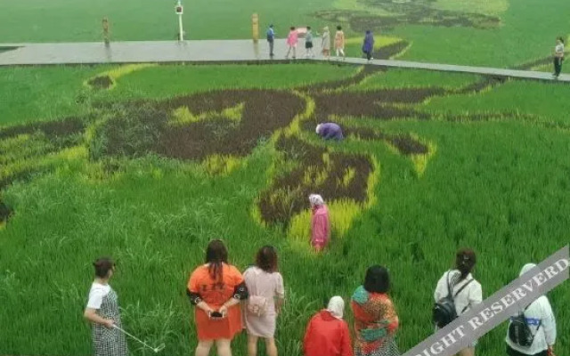 Panjin Naval Farmhouse