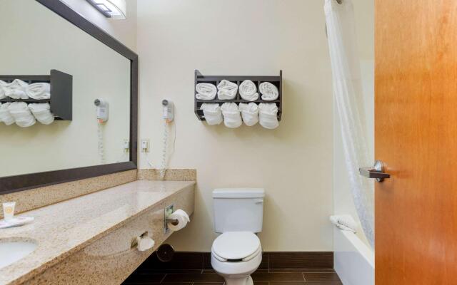 Comfort Suites Stevensville - St. Joseph