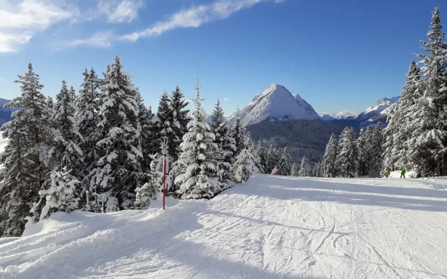 Birkenwald Seefeld in Tirol