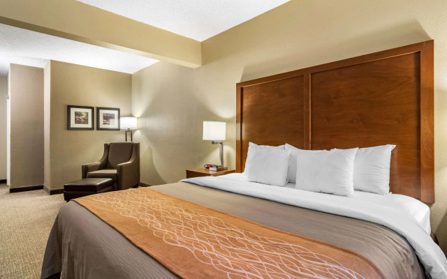 Comfort Inn & Suites Suwanee - Sugarloaf