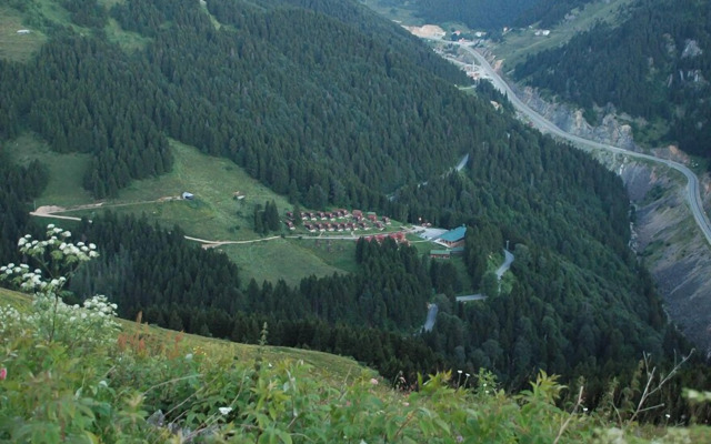 Hamsiköy Zitaş Bungalov & Restoran