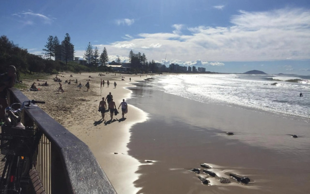 Ocean Boulevard