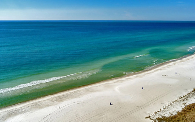 Twin Palms 1402 287431 by RedAwning