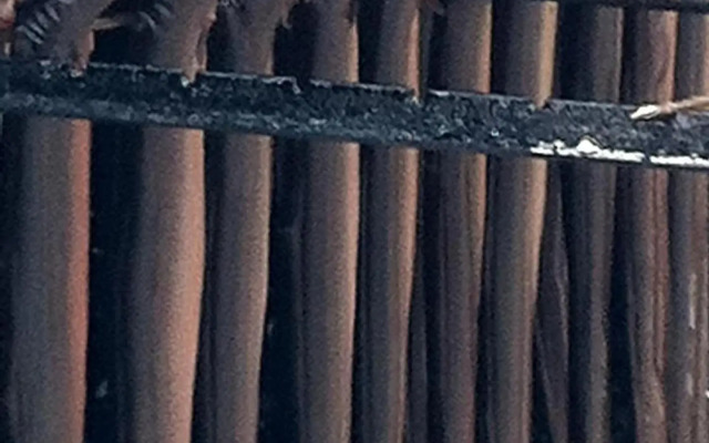 Villa Arosa Ostseetraum