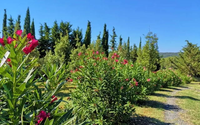 Villa San Martino