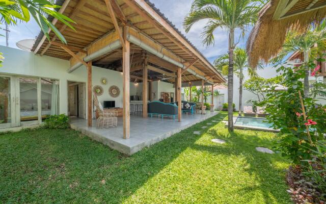 Villa Palm Tree