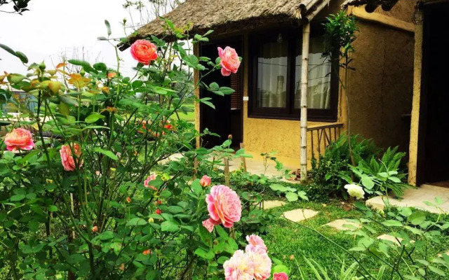 May Homestay Ninh Binh