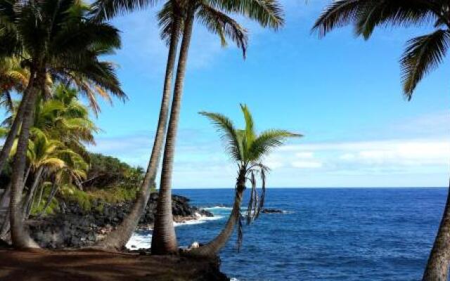 Hale Ki'i Maka Manu home