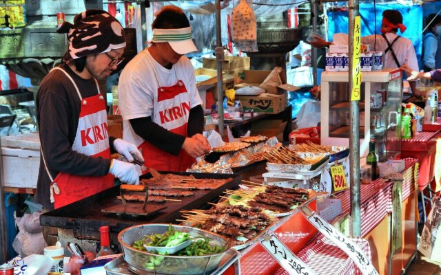 Akihabara Luxury Cityhouse