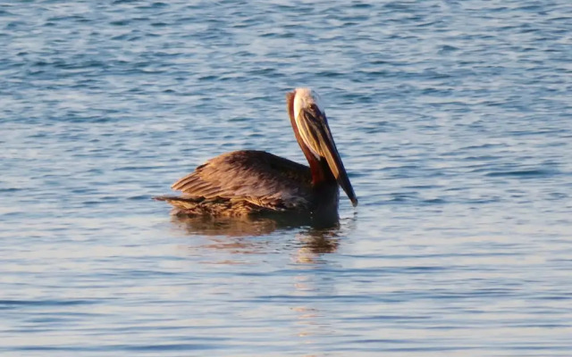 Playa Encanto Scenic Gem Ocean Front Home