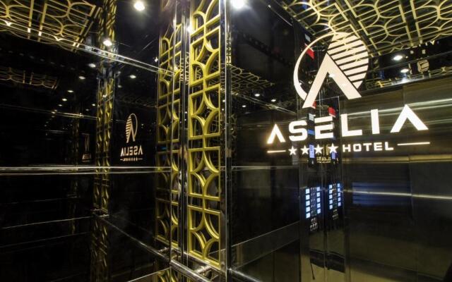 Aselia Hotel Trabzon